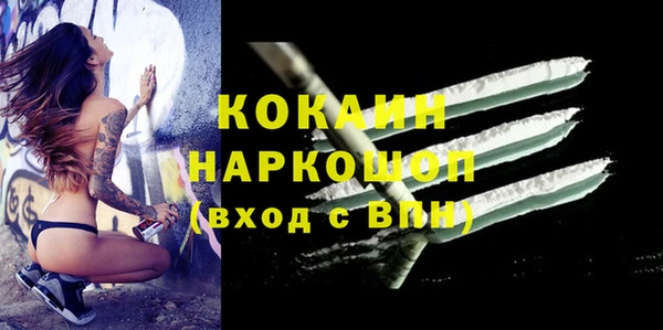 дурь Магас