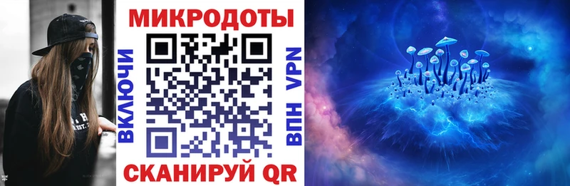 Купить  Демидов  Галлюциногенные грибы Psilocybe 